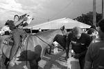 horse