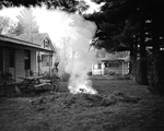 burningneedles